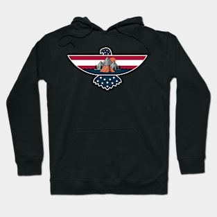 Camp In USA Hoodie